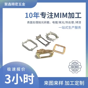 手表壳表带加工 (1)