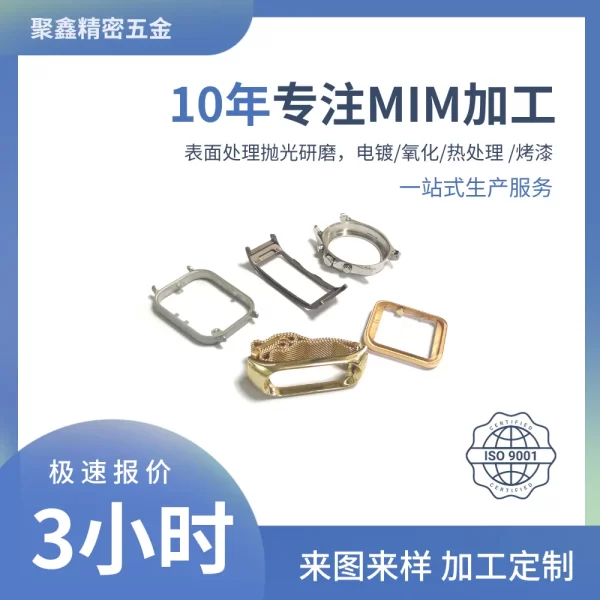 手表壳表带加工 (1)